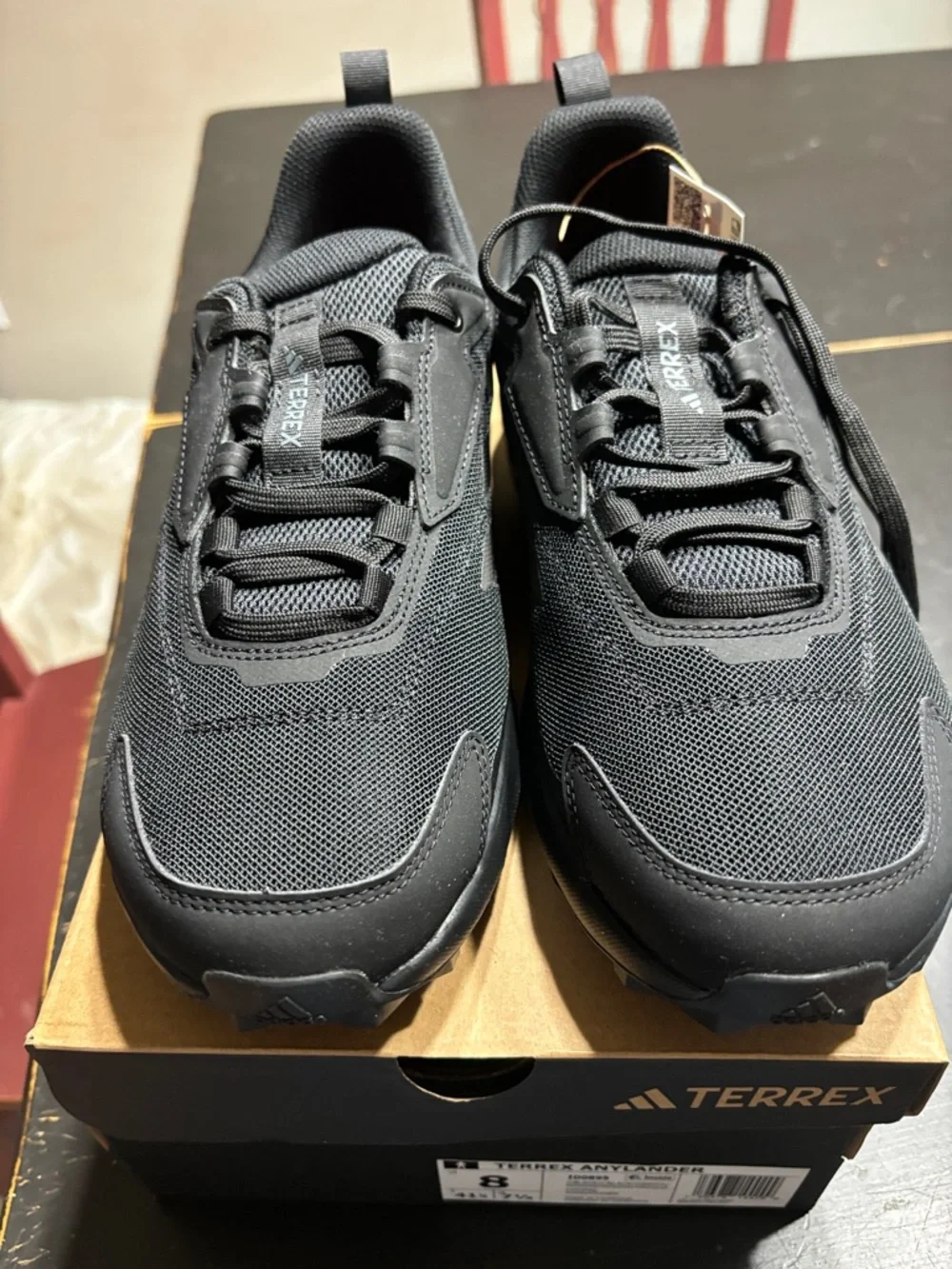 adidas TERREX Anylander Men's Trail Shoes - Black